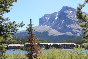 IMG_7033.jpg IMG_7033.jpg