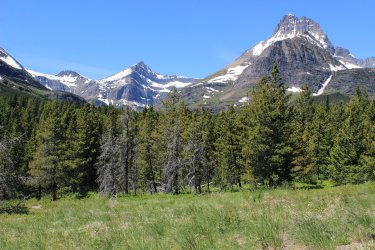 IMG_7038.jpg IMG_7038.jpg