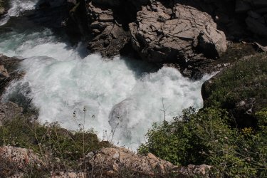 IMG_7061.jpg IMG_7061.jpg