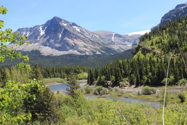 IMG_7067.jpg IMG_7067.jpg