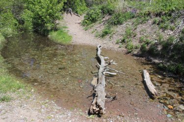 IMG_7070.jpg IMG_7070.jpg