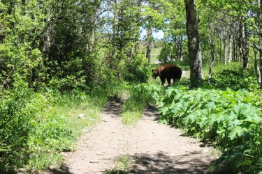 IMG_7076.jpg IMG_7076.jpg