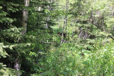 IMG_7077.jpg IMG_7077.jpg