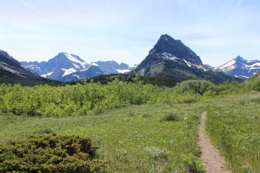 IMG_7083.jpg IMG_7083.jpg