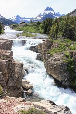 IMG_7098.jpg IMG_7098.jpg