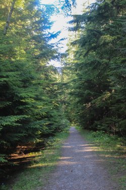 IMG_7120.jpg IMG_7120.jpg