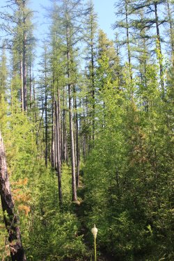 IMG_7129.jpg IMG_7129.jpg