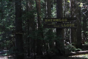 IMG_7139.jpg IMG_7139.jpg