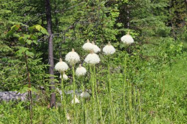 IMG_7152.jpg IMG_7152.jpg