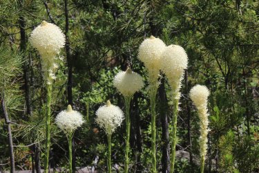 IMG_7159.jpg IMG_7159.jpg