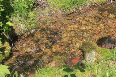 IMG_7160.jpg IMG_7160.jpg