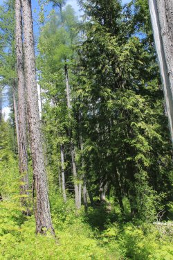 IMG_7161.jpg IMG_7161.jpg