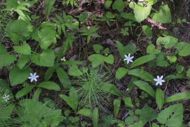 IMG_7164.jpg IMG_7164.jpg