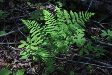 IMG_7165.jpg IMG_7165.jpg