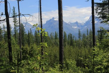 IMG_7174.jpg IMG_7174.jpg