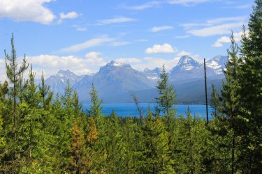 IMG_7179.jpg IMG_7179.jpg