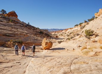 _1320638-copy-2.jpg _1320638-copy-2.jpg