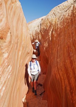 _1320664-copy-2.jpg _1320664-copy-2.jpg