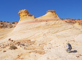 _1320706-copy-2.jpg _1320706-copy-2.jpg