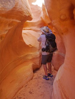 _1320643-copy-2.jpg _1320643-copy-2.jpg