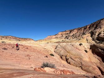 IMG_1044.jpeg IMG_1044.jpeg