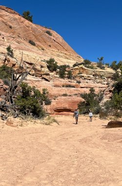 IMG_1013.jpeg IMG_1013.jpeg