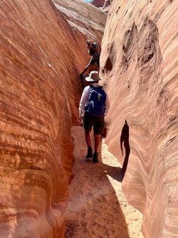 IMG_1021.jpeg IMG_1021.jpeg