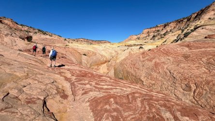 IMG_1041.jpeg IMG_1041.jpeg