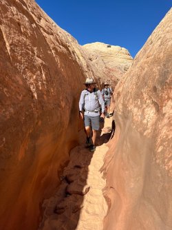 IMG_1038.jpeg IMG_1038.jpeg