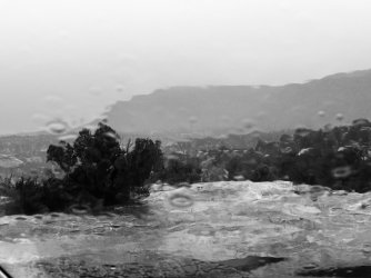 IMG_5997.jpeg IMG_5997.jpeg