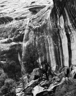 IMG_5998.jpeg IMG_5998.jpeg