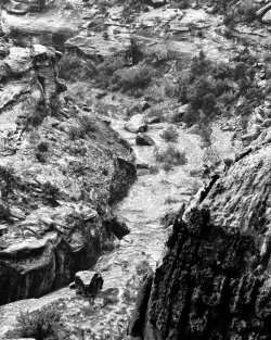 IMG_5999.jpeg IMG_5999.jpeg