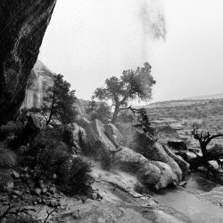 IMG_6001.jpeg IMG_6001.jpeg