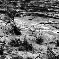 IMG_6008.jpeg IMG_6008.jpeg