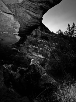 IMG_6014.jpeg IMG_6014.jpeg