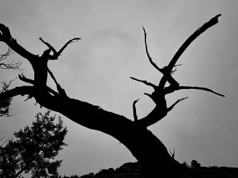 IMG_6021.jpeg IMG_6021.jpeg