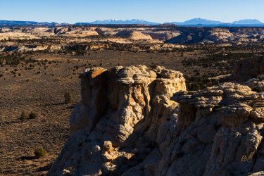 BlackFriday Escalante 2024-00158.jpg BlackFriday Escalante 2024-00158.jpg