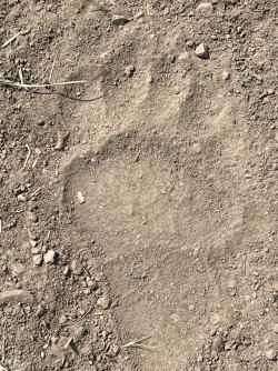 IMG_e8634.JPG IMG_e8634.JPG