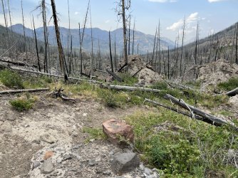 IMG_e8661.JPG IMG_e8661.JPG