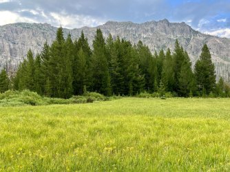 IMG_E8666.JPG IMG_E8666.JPG