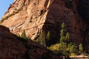 Kolob 2024 -08654.jpg Kolob 2024 -08654.jpg