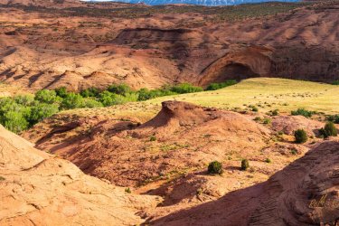 MemorialDayDesert-06469.jpg MemorialDayDesert-06469.jpg