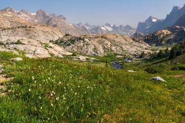 MountainSummer2024-06779.jpg MountainSummer2024-06779.jpg