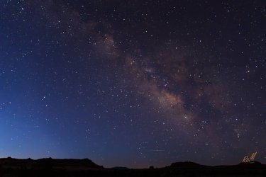 Needles CedarMesa-06125-Enhanced-NR.jpg Needles CedarMesa-06125-Enhanced-NR.jpg