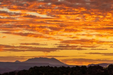 October Escalante 2024-09393.jpg October Escalante 2024-09393.jpg