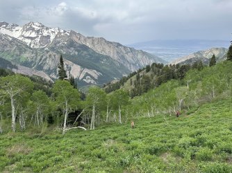 IMG_9238.jpg IMG_9238.jpg