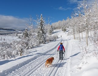 P1030859-copy-2.jpg P1030859-copy-2.jpg