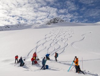 _1310885-copy-2.jpg _1310885-copy-2.jpg