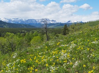 P1040610-copy-2.jpg P1040610-copy-2.jpg