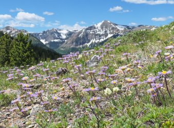 P1040766-copy-2.jpg P1040766-copy-2.jpg